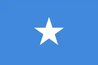 Somalia flag - APC export market